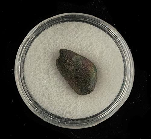 Chelyabinsk Meteorit u kolekcionarskoj kutiji