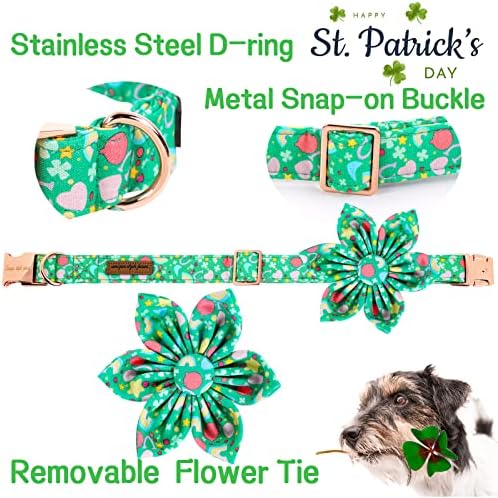 Jedinstveni stil šape sv. Patrick's Day Dog ovvratnik s cvijećem Rainbow Clover Heart Puppy Collar za male srednje velike dječake djevojčice-xl
