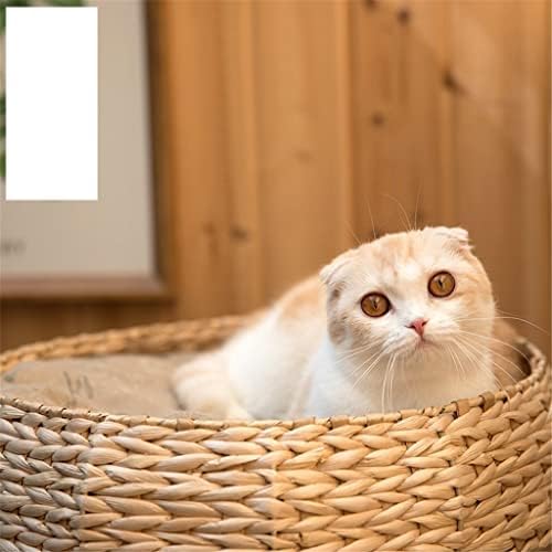 ; Penjački okvir mačje leglo mačja kućica na drvetu ljetno mačje leglo za male mačke igračke za kućne ljubimce