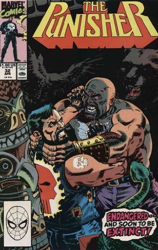 Punisher, 32 meandri / meandri; Comics meandri / Mike Baron