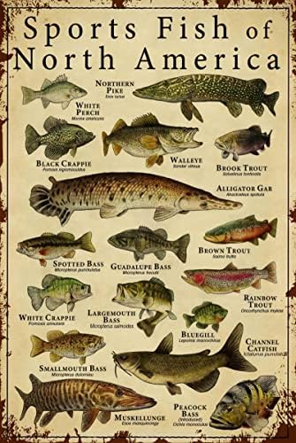 Riba znanje metal limen potpis sportska riba iz Sjeverne Amerike smiješni poster školovanje školovanje lovca loža dnevna soba kupaonica