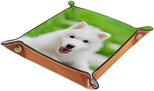 Kutije za odlaganje Malo, slatko sibirsko husky štenad koji se igra u parku ilustracija, kožni organ za skladištenje stolnog prostora