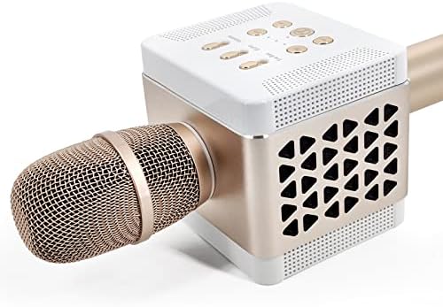 TOKS 016 Karaoke Mikrofon za odrasle/pjevačicu 20W Bluetooth Bass Sing Machine, Podcast 4000Mah Dual 58 mm PA WOOFER WIRENT PA zvučnici