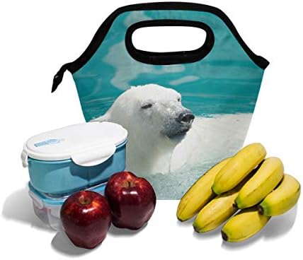 Izolirana torba za ručak, kutija za zamrzavanje za ručak za djecu, žene, djevojčice, dječake i muškarce, hladnjak za polarnog medvjeda,