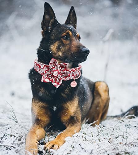 Dogwong božićni pamučni pseći ovratnik s pramčanom kravatom, crveni Djed Mraz cvjetnik za kućne ljubimce, božićni crveni podesiv i