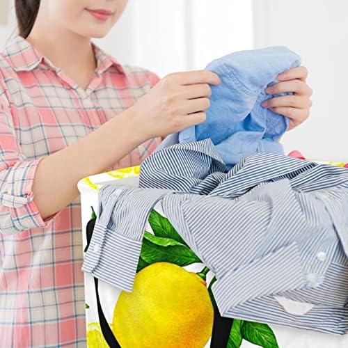 Voćni citrusni žuti limunski tisak sklopiva košara za rublje, 60L vodootporne košare za rublje, košara za pranje odjeće, igračke za