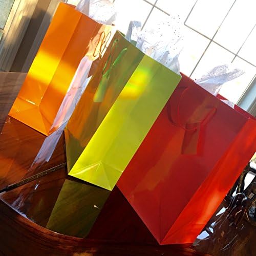 12 različitih svijetlih neonskih poklon papirnatih vrećica za rođendanske zabave vjenčanje Božićni blagdani Dan zahvalnosti Uskrs Noć