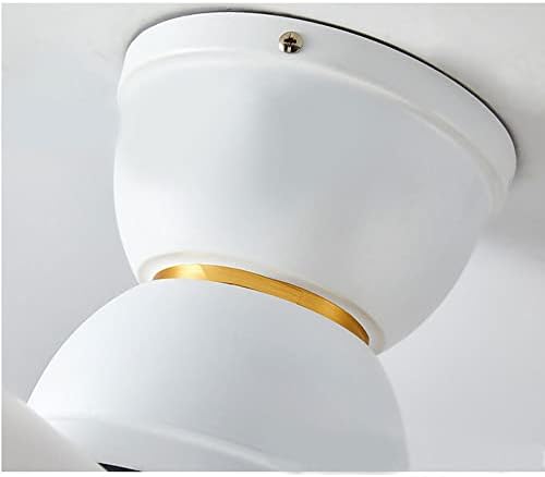 Tvornička cijena jednostavnost računala ventilator ventilator ventilator lampica moderno akrilni daljinski upravljač stropna svjetiljka