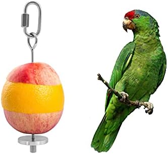 Držač za hranu za ptice od nehrđajućeg čelika držač štapića za voće i povrće za papige igračka za hranjenje ražanj za poslastice za