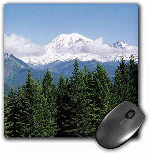 3Drose Forest Mt Rainier National Park Washington USA US48 PSO0064 Paul Souders Mouse Pad