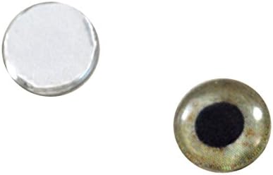 10 mm preplanuli orao staklene oči Irise za umjetničku polimernu gline taksidermiju skulptura ili nakit za izradu seta od 2