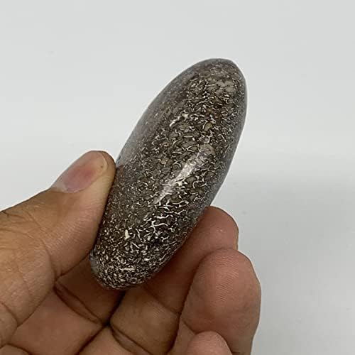 62,3G, 2.2 x1.7 x0.8 Dinosaur kosti kamen galeta Gallet poliran @morocco, Reiki Energy Crystal, Metaphysical, B20425